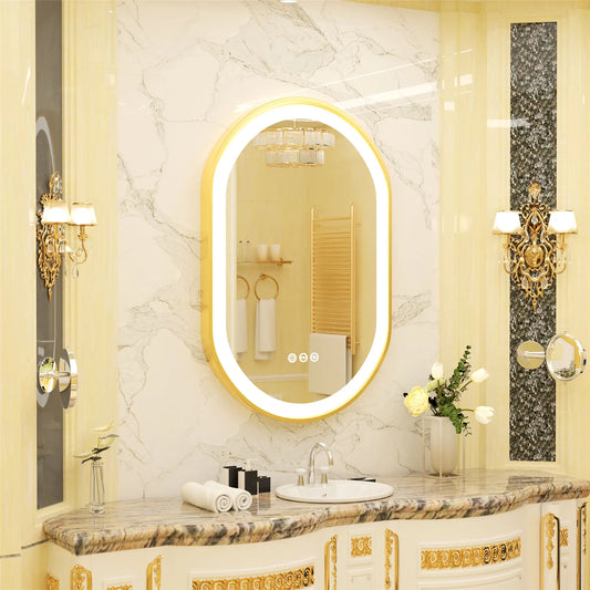 Wisfor Oval LED Lighted Dimmable Bathroom Wall Mirror
